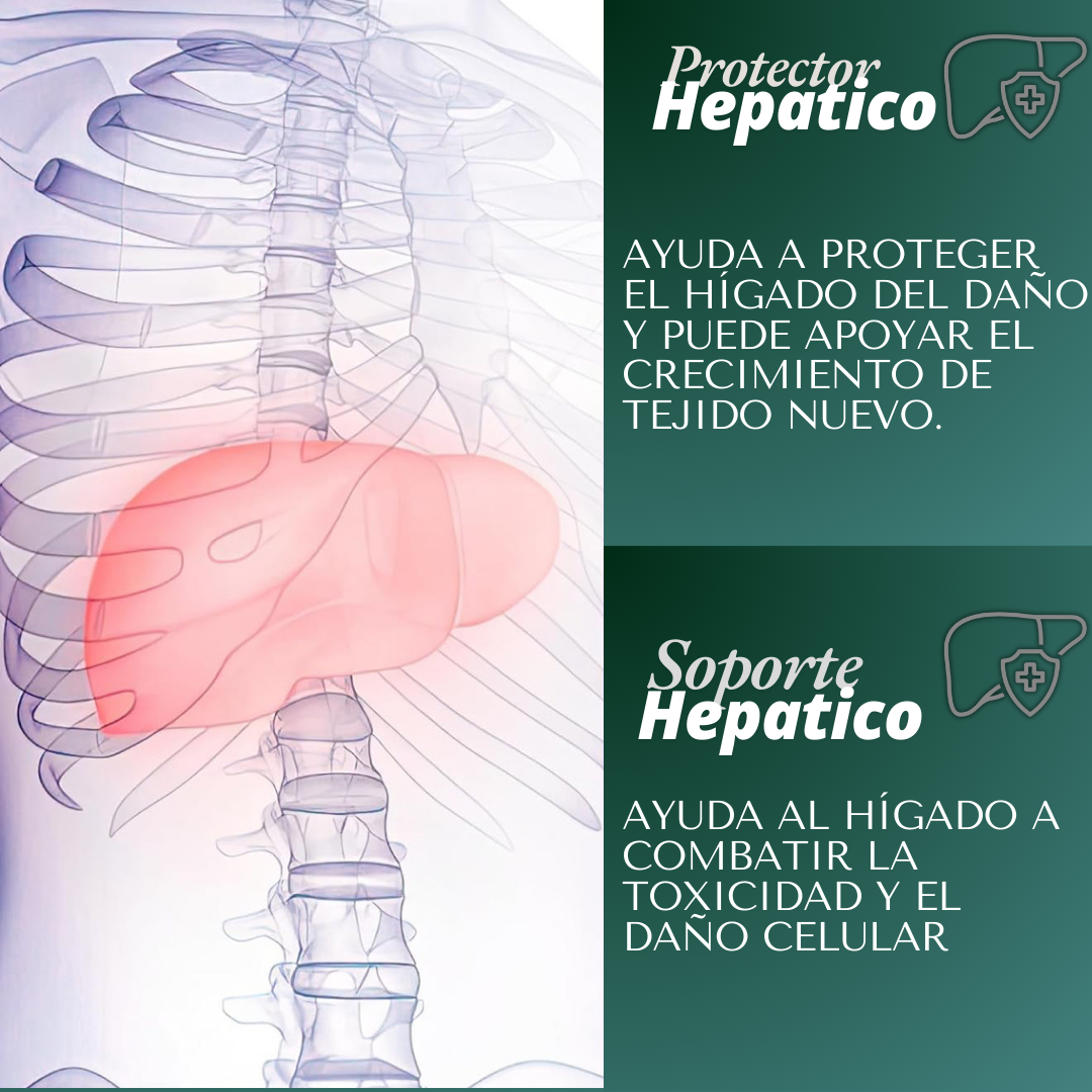 Liver Detox en 28-1