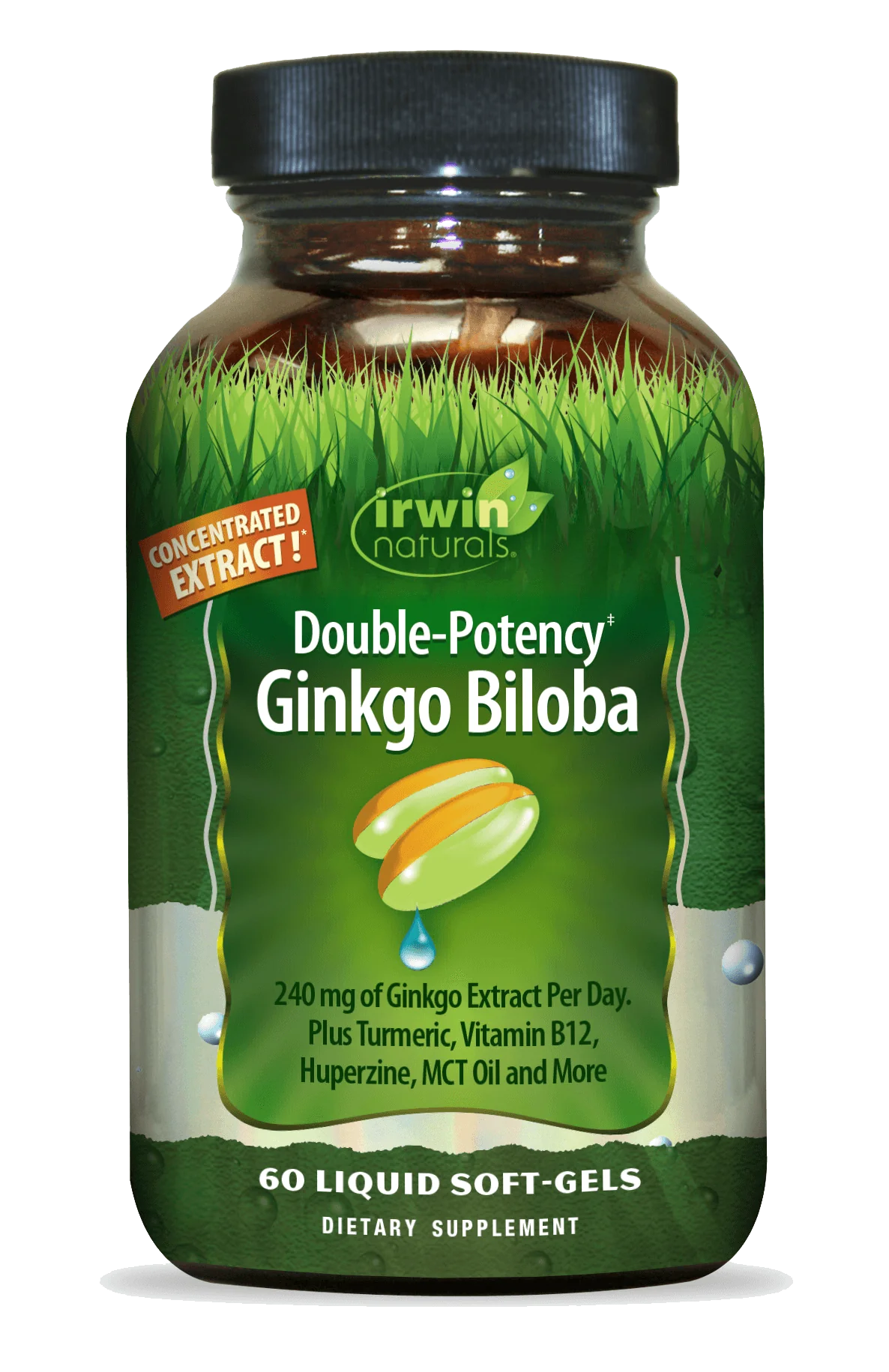 Double potency ginkgo biloba 60 ct