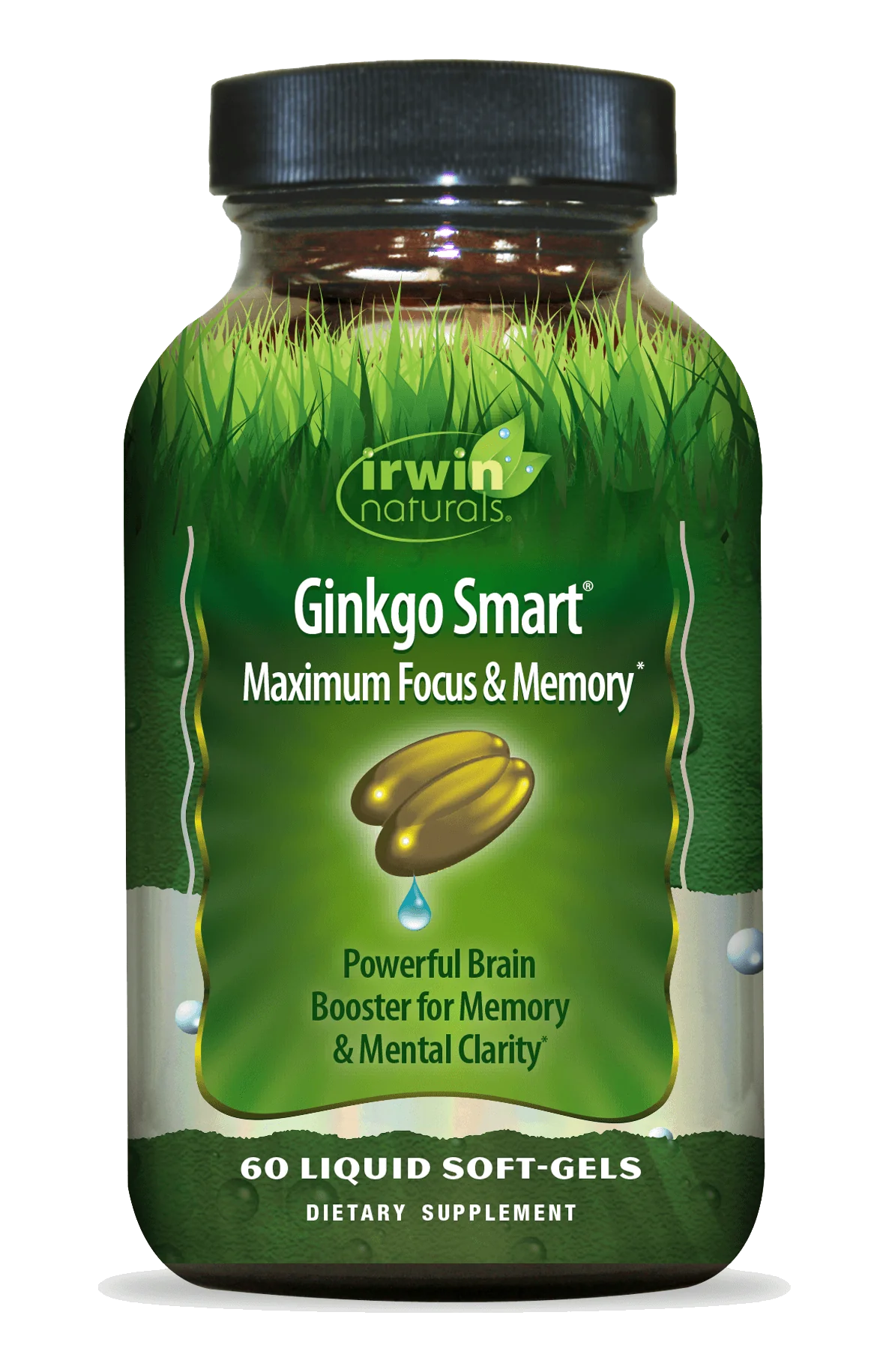 ginkgo smart focus maximum y memory 60 ct