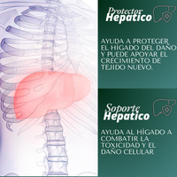 Liver Detox en 28-1