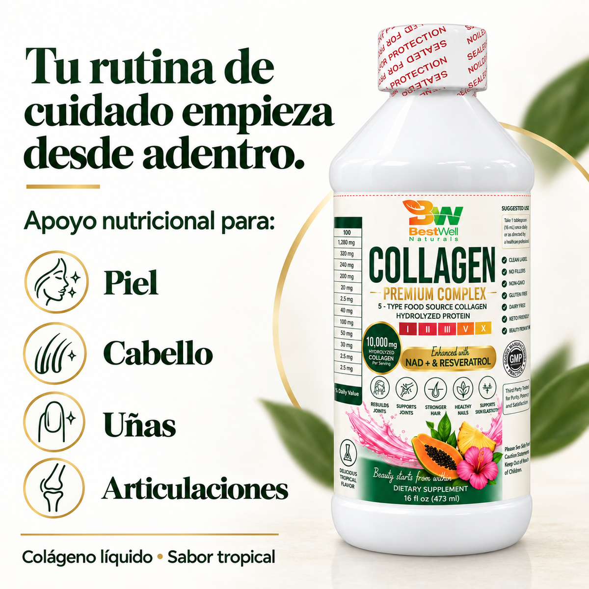 Collagen 5