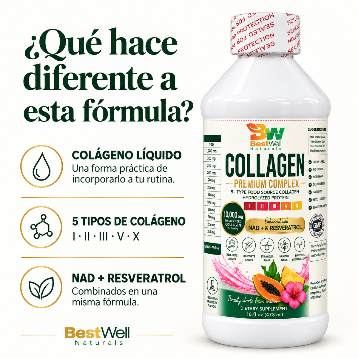 Collagen 5