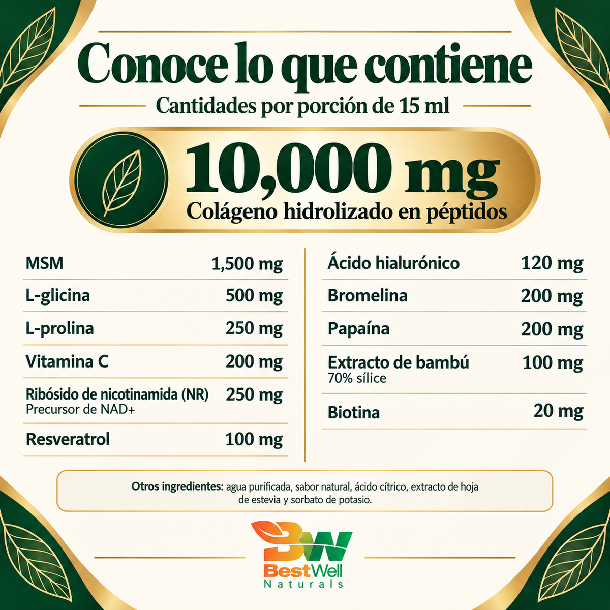 Collagen 5