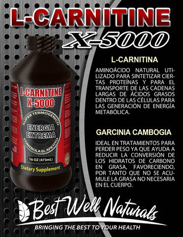 L carnitina x 5000